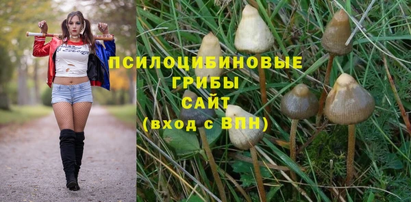 экстази Белокуриха