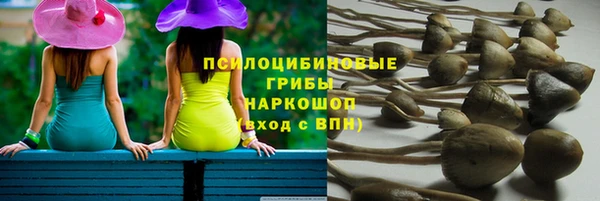 гидропоника Россошь