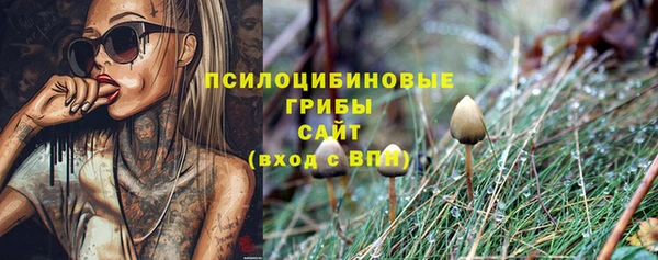 экстази Белокуриха