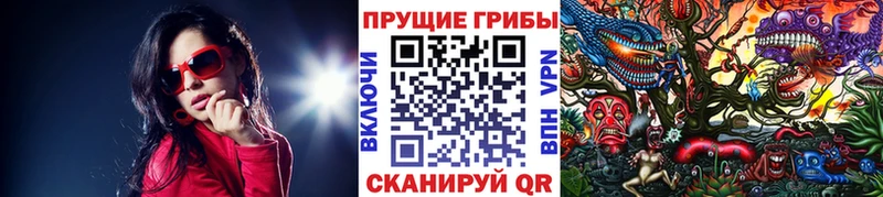 KRAKEN как войти  Клинцы  Галлюциногенные грибы мухоморы 